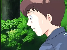 Fairy Forest Remi-chan (El Hada del Bosque)