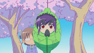 Accel World: Acchel World.