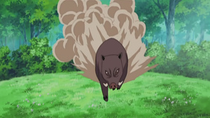 H2O: Footprints in the Sand