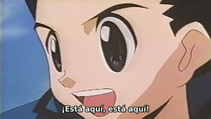 Hunter x Hunter Pilot