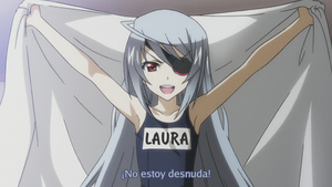 IS: Infinite Stratos 2