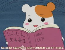 Oruchuban Ebichu