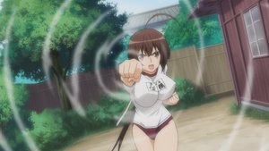 Sekirei: Pure Engagement