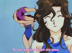 Taiho Shichau zo Special (Estás Arrestado: Mini Specials)