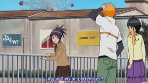 Bleach: Memories of Nobody