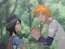 Bleach: Memories in the Rain