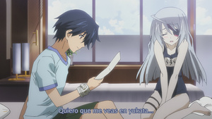 IS: Infinite Stratos 2