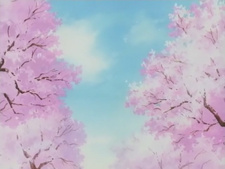 Okusama wa Joshikousei (2005)