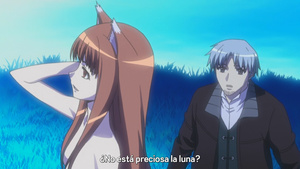 Spice and Wolf (Ookami to Koushinryou)