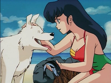 Maison Ikkoku: Crónica de un naufragio