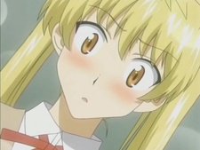 School Rumble Ni Gakki