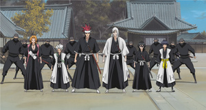 Bleach: Memories of Nobody