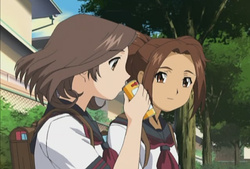 Casi 15 años: Melodía juvenil