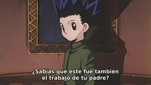 Hunter x Hunter Pilot