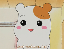 Oruchuban Ebichu