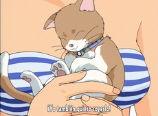 Taiho Shichau zo Special (Estás Arrestado: Mini Specials)