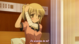 Kore wa Zombie desu ka?