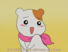 Oruchuban Ebichu