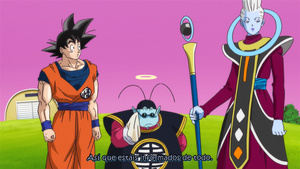 Dragon Ball Z: La Batalla de los Dioses