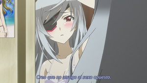IS: Infinite Stratos 2