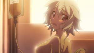 IS: Infinite Stratos 2 - World Purge-hen