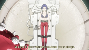 Ghost in the Shell: Arise