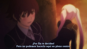 Hagure Yuusha no Estetica