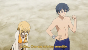 IS: Infinite Stratos
