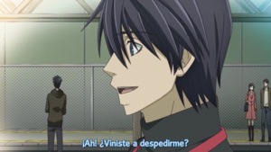 Junjou Romantica OVA
