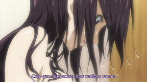 IS: Infinite Stratos 2