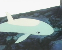 Tobe! Kujira no Peek