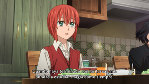 Mahoutsukai no Yome: Hoshi Matsu Hito