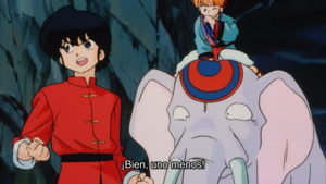 Ranma ½: Chuugoku Nekonron Daikessen! Okite Yaburi no Gekitou Hen!!