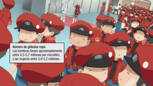 Cells at Work!