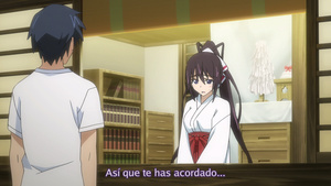 IS: Infinite Stratos Encore - Koi ni Kogareru Rokujuusou