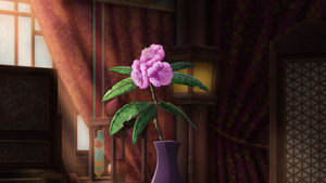 Los diarios de la boticaria