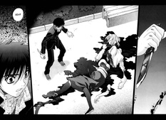 Shingetsutan Tsukihime