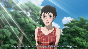 Sakamichi no Apollon