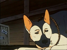 La llamada de la Naturaleza