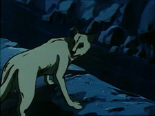 La llamada de la Naturaleza