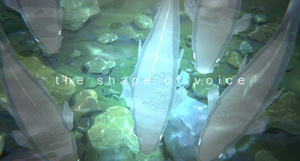 Koe no Katachi (688p)