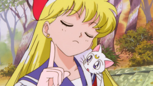 Bishoujo Senshi Sailor Moon SuperS Gaiden: Ami-chan no Hatsukoi