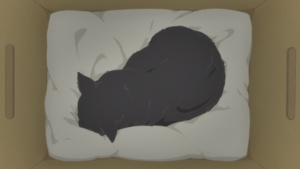 Kanojo to Kanojo no Neko: Everything Flows