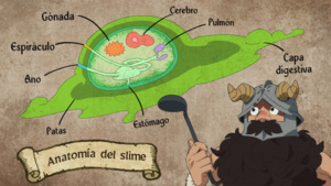 Tragones y mazmorras