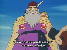 Los caballeros de Lamune