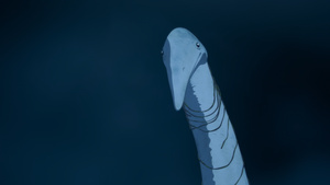 Ooyukiumi no Kaina: Hoshi no Kenja