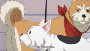 Oda Cinnamon Nobunaga