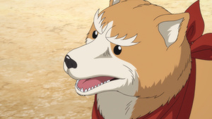 Oda Cinnamon Nobunaga