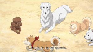 Oda Cinnamon Nobunaga