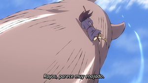 Sengoku Youko: Yonaoshi Kyoudai-hen